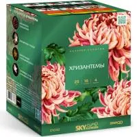 Фейерверк Хризантемы. Купить Фейерверк Хризантемы Z1032 — магазин продажа салютов недорого —  Гагарин, производитель Русский фейерверк - Русская пиротехника, доставка по России  +7 963 711 89 03 — Гагарин | gagarin.piroclub.ru