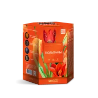 Фейерверк Тюльпаны 19. Купить Фейерверк Тюльпаны 19 Z1050 — магазин продажа салютов недорого —  Гагарин, производитель Русский фейерверк - Русская пиротехника, доставка по России  +7 963 711 89 03 — Гагарин | gagarin.piroclub.ru